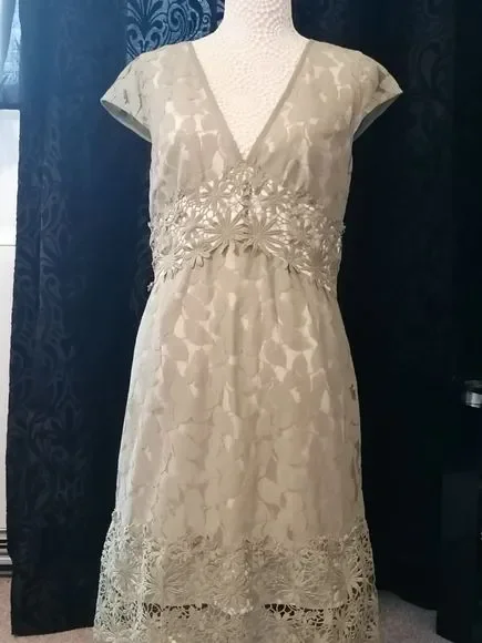 Next Womens dress 12  occasion dress Fully Lined Intricate Lace detail new - Picture 8 of 12